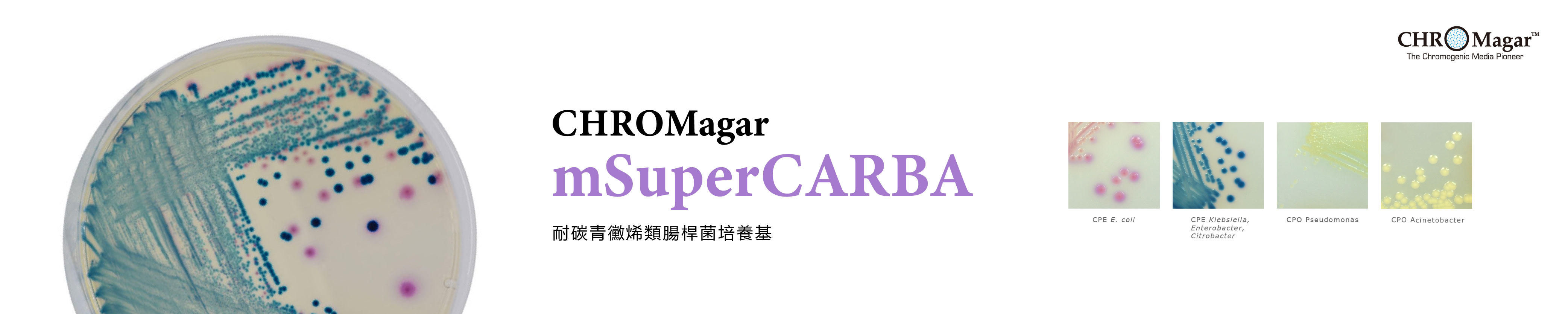 CHROMagar mSuperCARBA