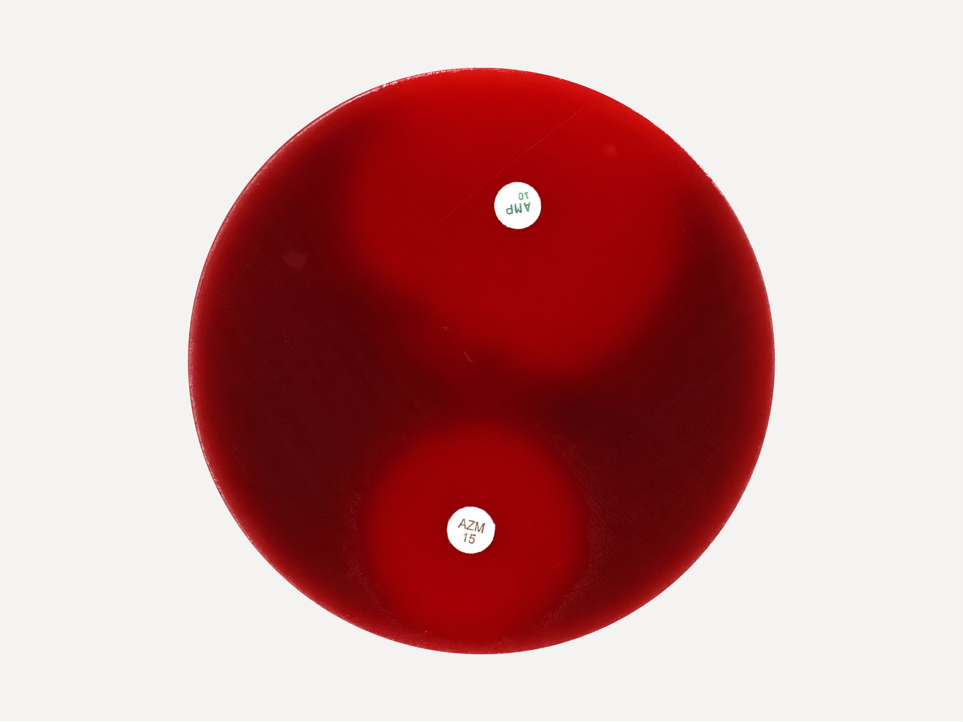 Mueller Hinton Agar w/ 5% Sheep Blood