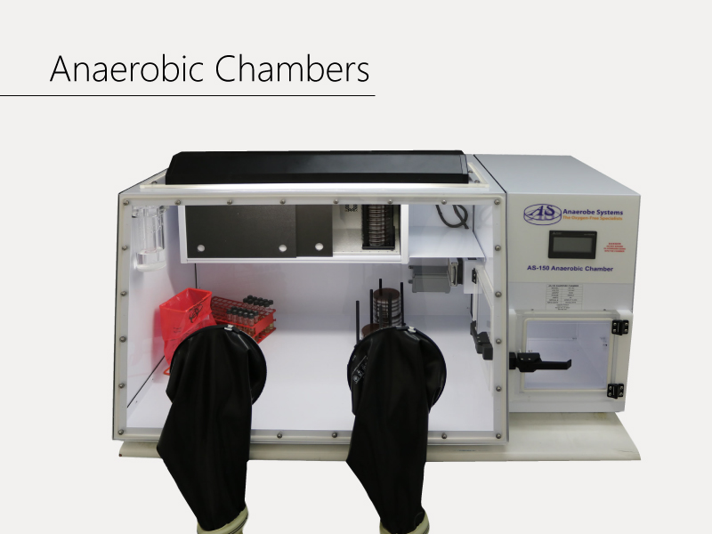 厭氧操作箱